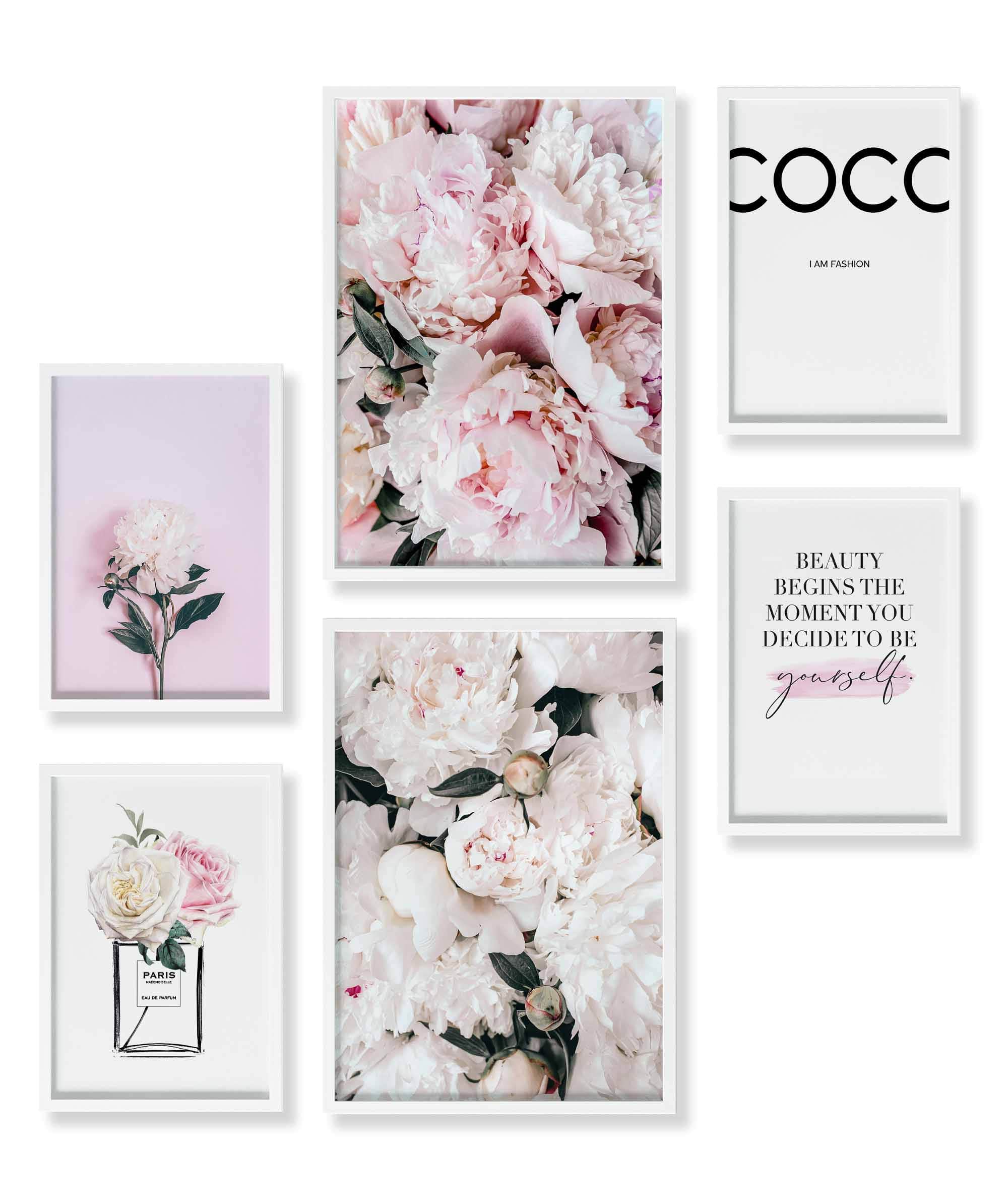 Pfingst-Rose Coco