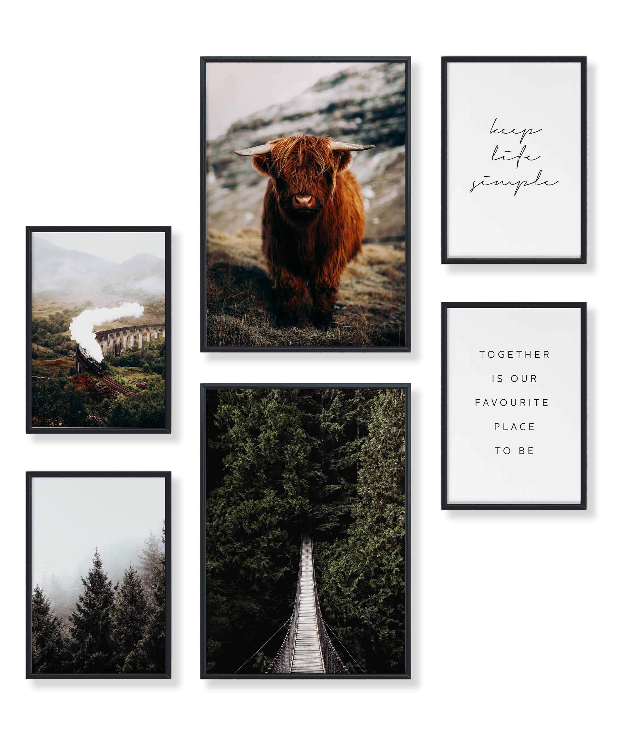 Highland & Forest