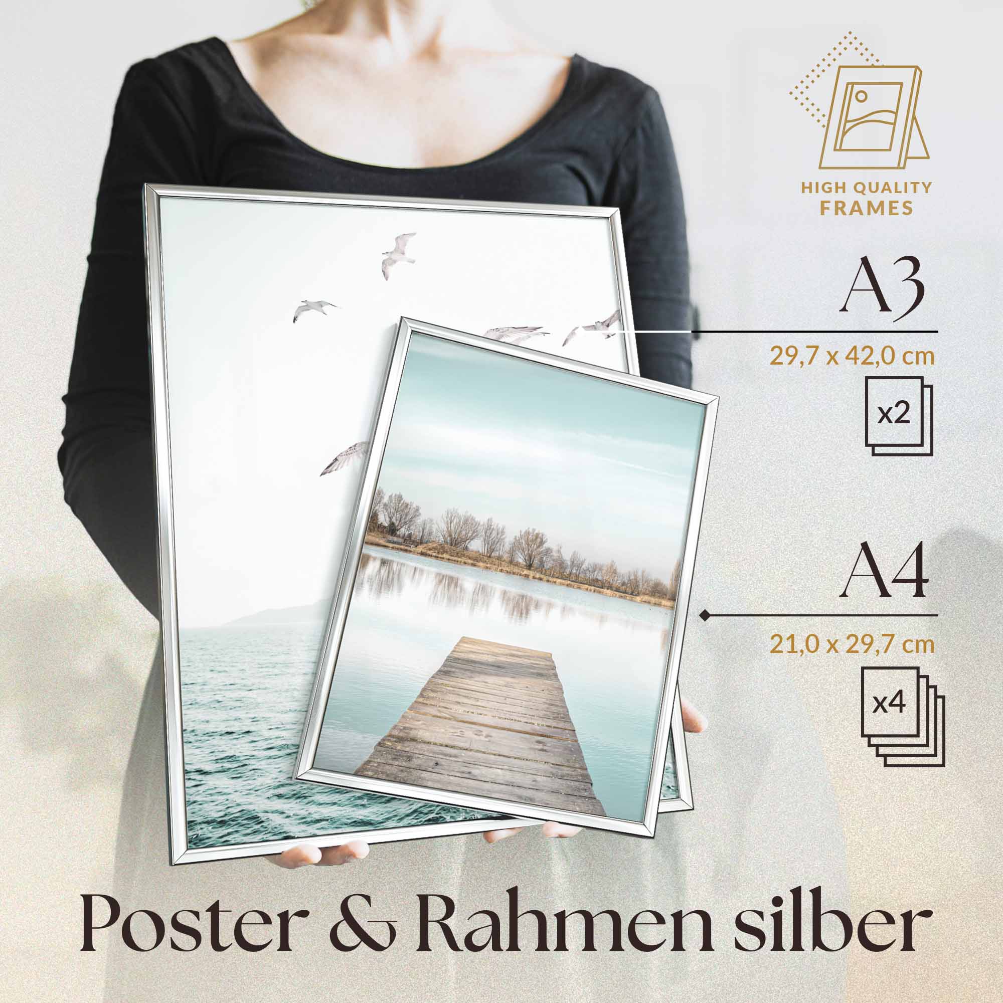 Skandi Meer Strand Möwen