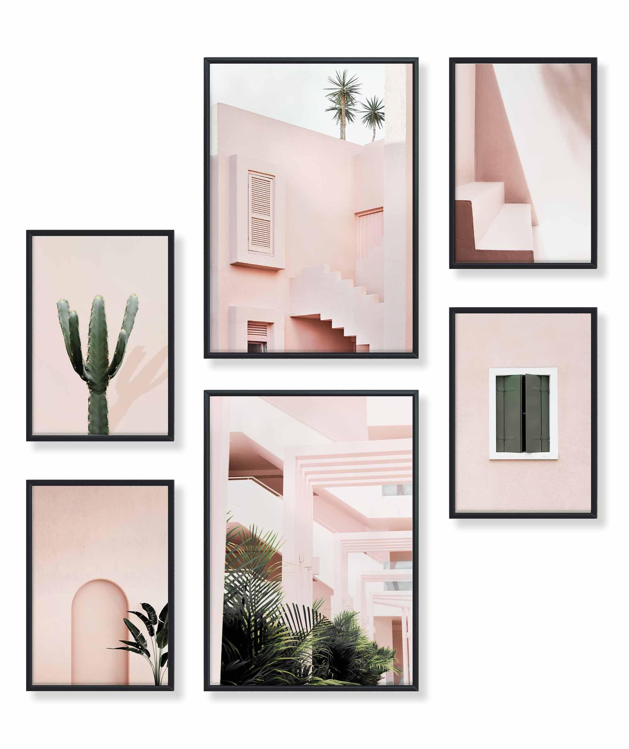 Architektur Pink Kaktus