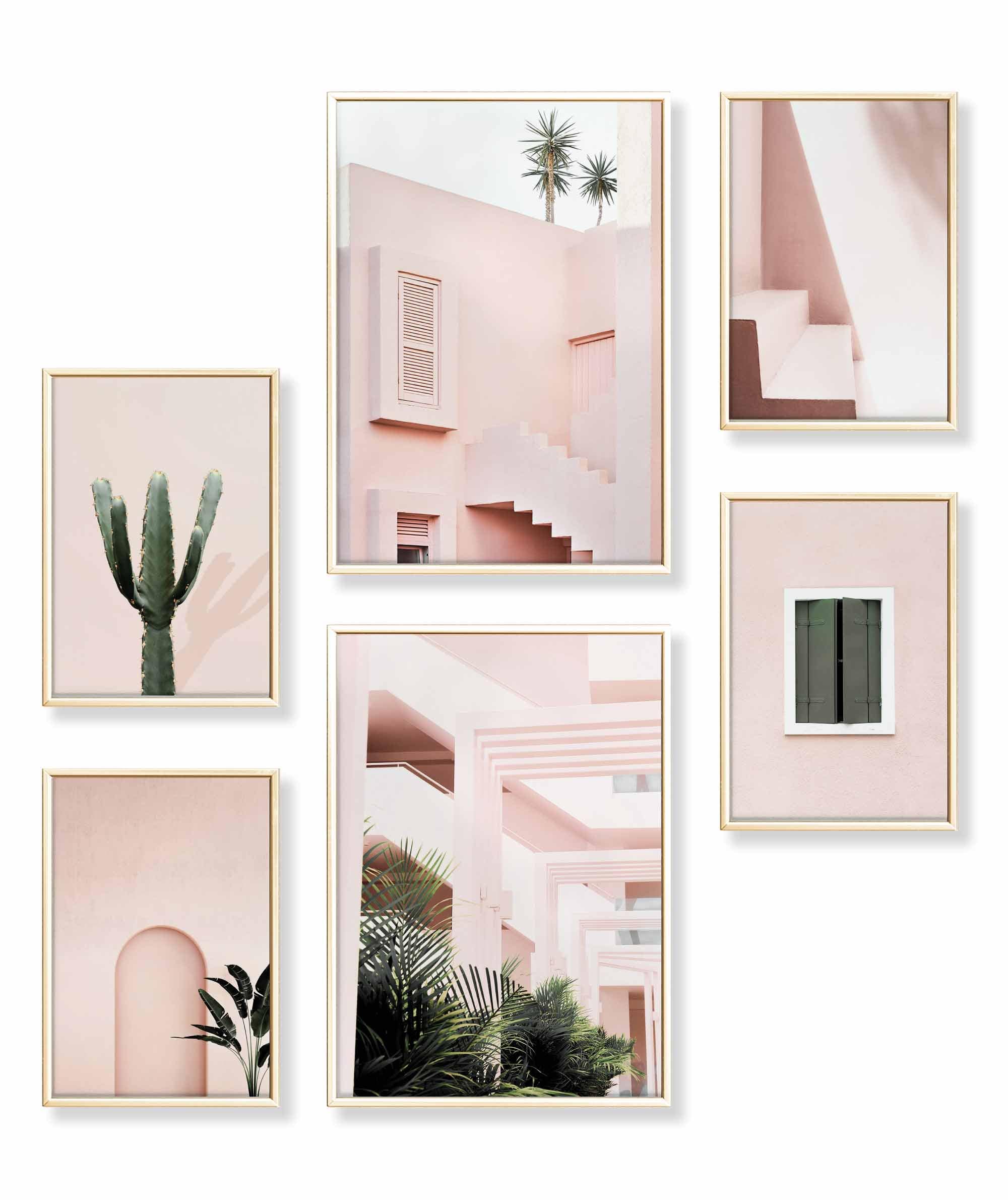 Architektur Pink Kaktus