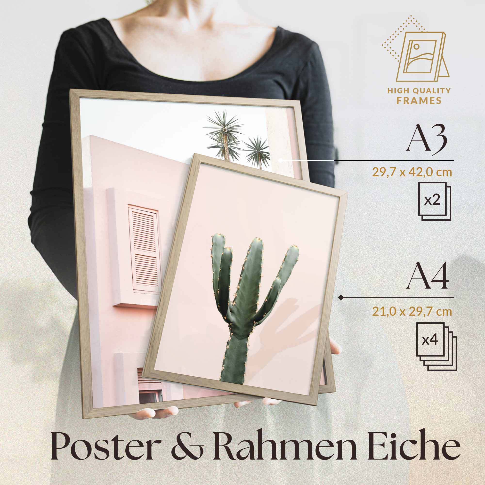 Architektur Pink Kaktus