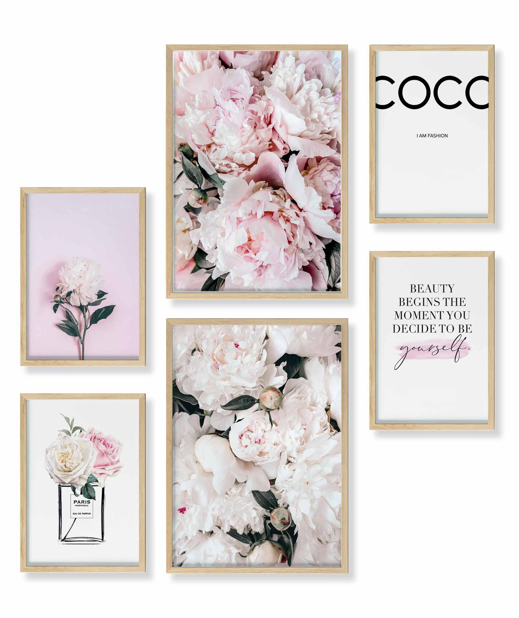 Pfingst-Rose Coco